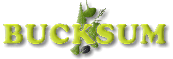Bucksum-Logo