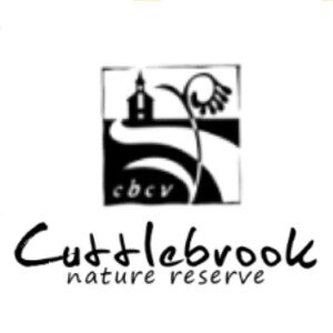 TGL final logo -turquoise-PNG