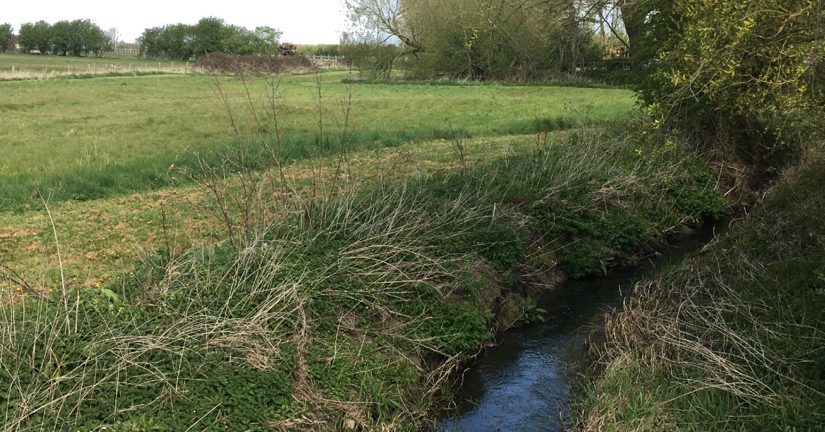 Rycote Meadow Conservation Project