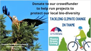 Crowdfunding climate change action in Thame