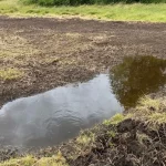 ditch