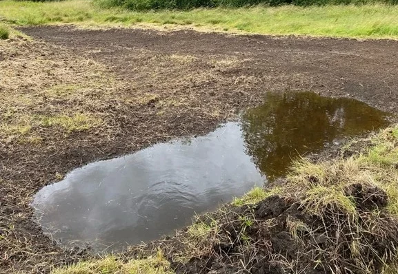 ditch