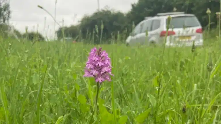 Verges – a new approach