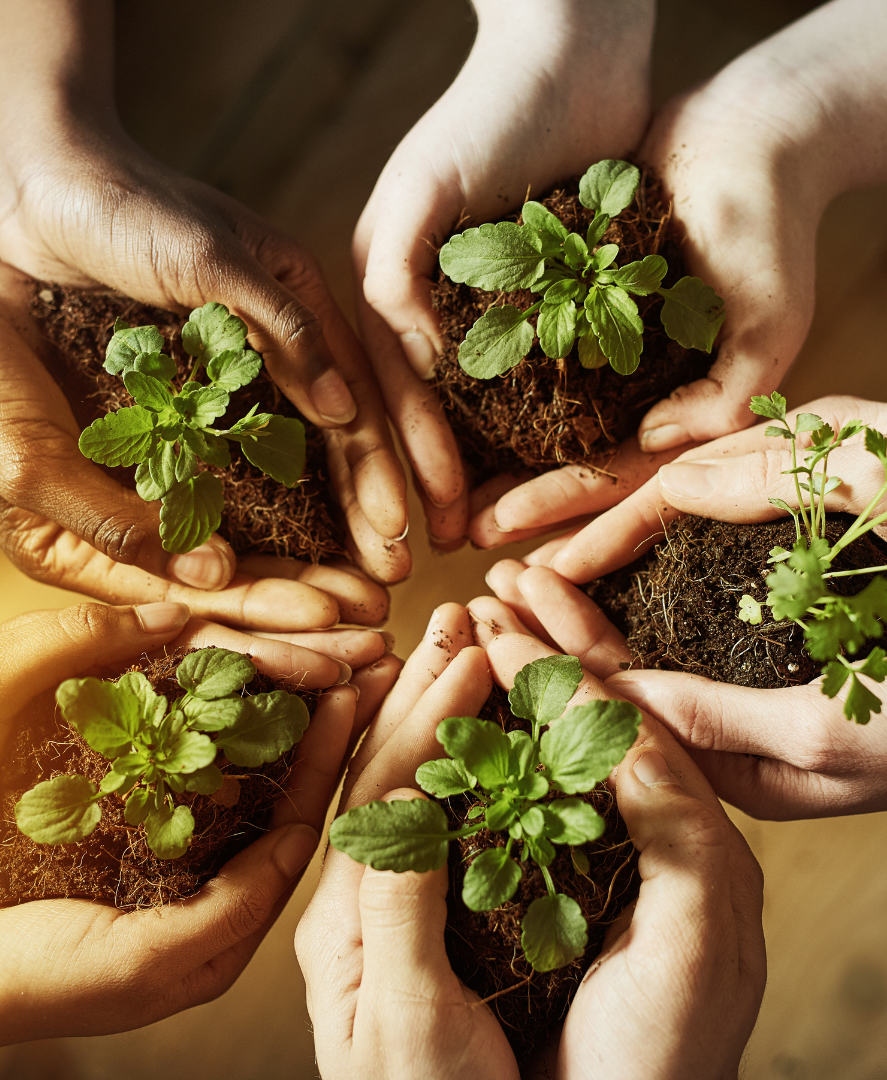 TTC Environment Website images (Instagram Post) (1)