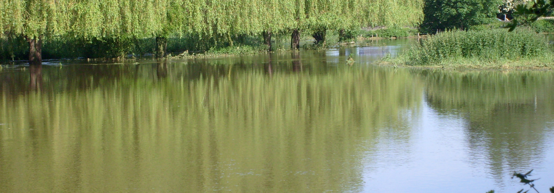 Water and Flood Protection