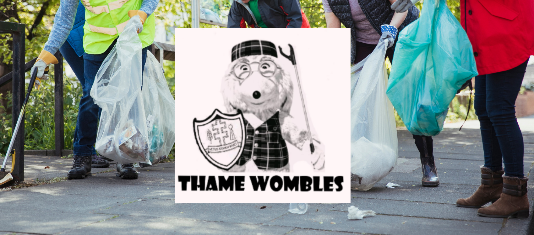 Thame Wombles