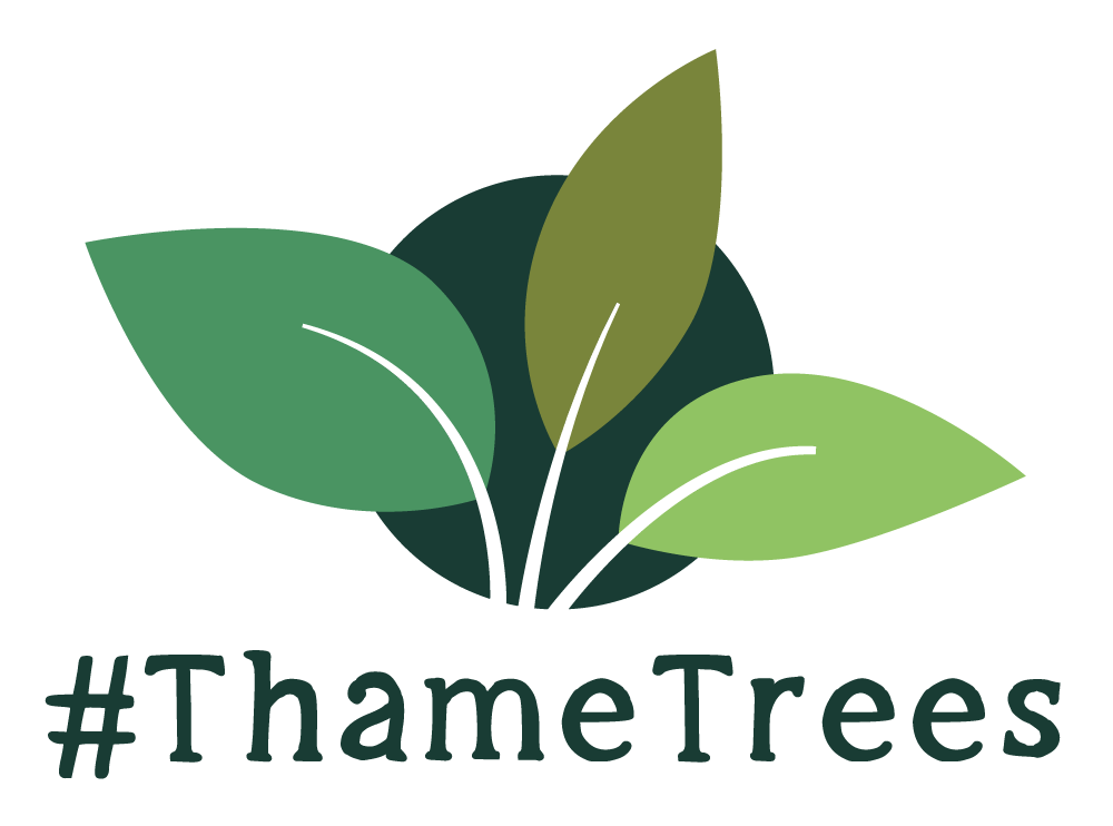 Thame Trees