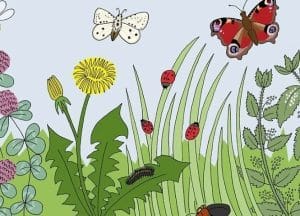 Chinnor climate cafe