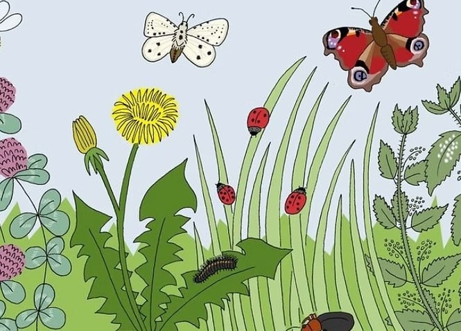 Chinnor Climate Cafe