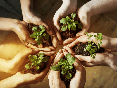 Thame and surrounds Environmental Forum